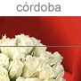 cordoba